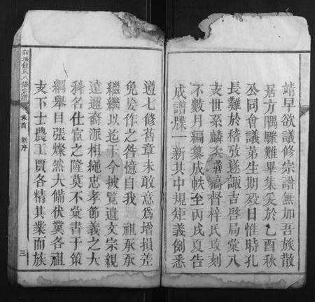 江西饶氏族谱-新城饶氏八修宗谱[15卷首1卷].pdf电子版插图3