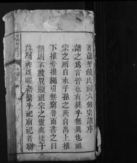 江西饶氏族谱-新城饶氏宗谱[15卷首1卷].pdf电子版插图1