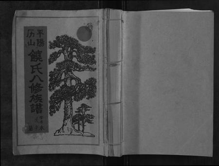 江西饶氏族谱-历山饶氏八修族谱[不分卷].pdf电子版