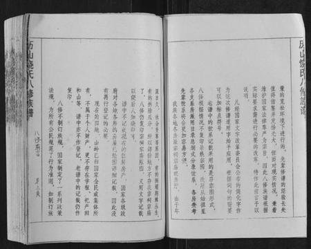 江西饶氏族谱-历山饶氏八修族谱[不分卷].pdf电子版插图5