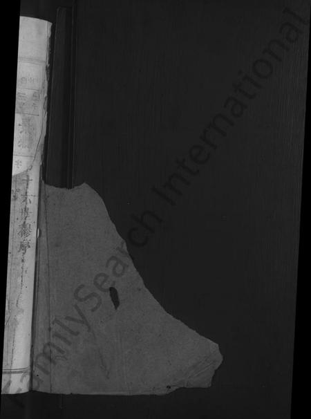 江西饶氏族谱-饶氏宗谱 [19卷].pdf电子版插图2