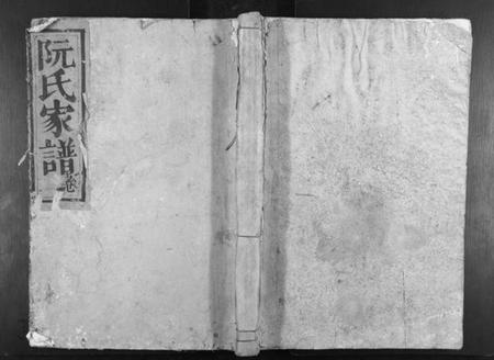 江西阮氏族谱-阮氏家谱[15卷].pdf电子版