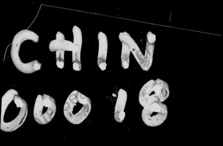 湖南朱氏族谱-泉灞朱氏四修族谱 [12卷,首2卷].pdf电子版插图4