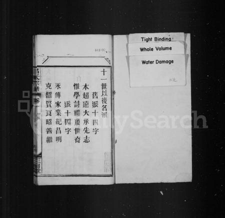 湖北吕氏族谱-吕氏族谱.pdf电子版插图1