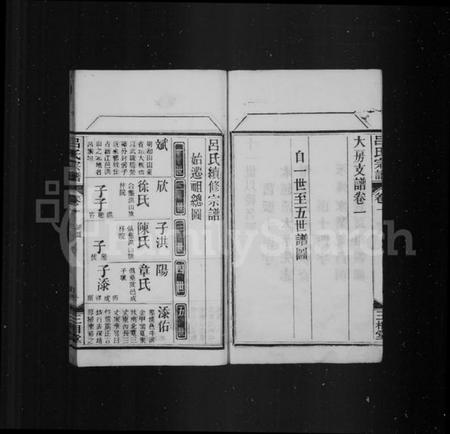 湖北吕氏族谱-吕氏族谱.pdf电子版插图2