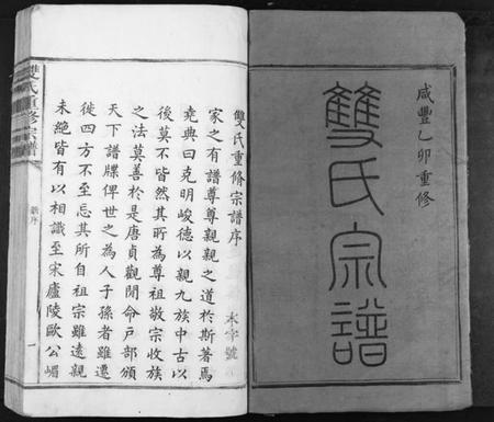 江西双氏族谱-双氏重修族谱[不分卷].pdf电子版插图1