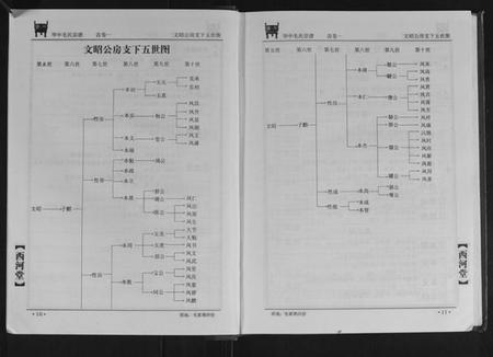 湖北毛氏族谱-华中毛氏宗谱.pdf电子版插图5