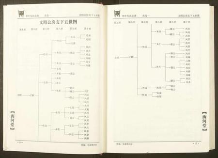 湖北毛氏族谱-华中毛氏宗谱.pdf电子版插图5