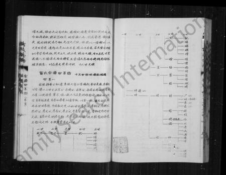江苏冒氏族谱-冒氏宗谱 [11卷].pdf电子版插图2