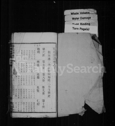 中国梅氏族谱-梅氏宗谱.pdf电子版插图1