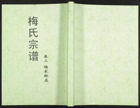 湖北梅氏族谱-梅氏大成宗谱.pdf电子版