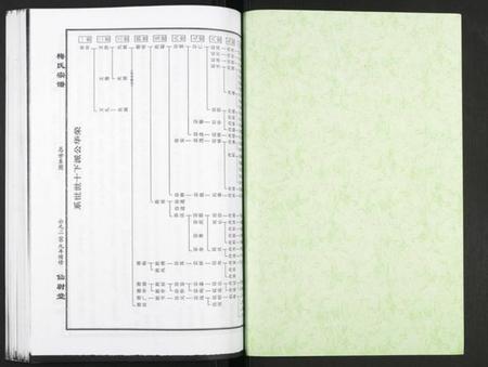 湖北梅氏族谱-梅氏大成宗谱.pdf电子版插图1