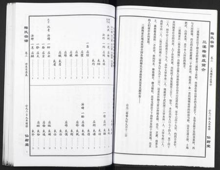 湖北梅氏族谱-梅氏大成宗谱.pdf电子版插图3