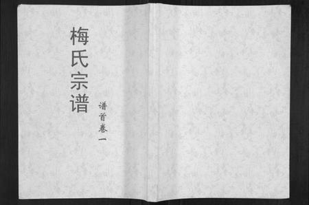 湖北梅氏族谱-梅氏大成宗谱[16卷首2卷].pdf电子版