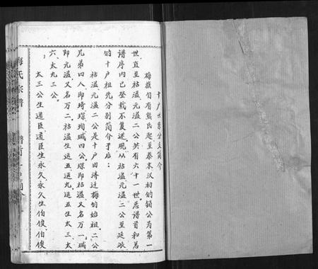 湖北梅氏族谱-梅氏宗谱.pdf电子版插图1