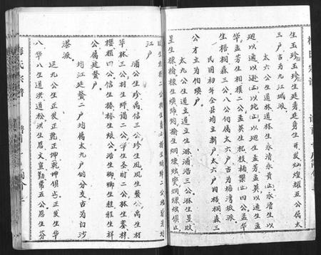 湖北梅氏族谱-梅氏宗谱.pdf电子版插图2