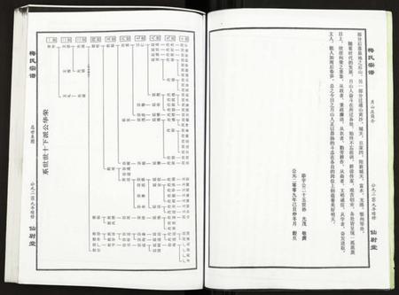 湖北梅氏族谱-梅氏宗谱.pdf电子版插图4