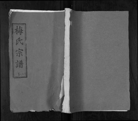 湖北梅氏族谱-梅氏宗谱[9卷首8卷].pdf电子版