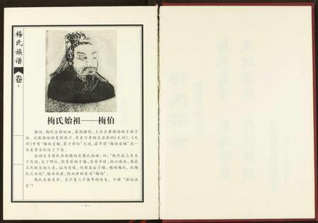 湖北梅氏族谱-梅氏族谱.pdf电子版插图3