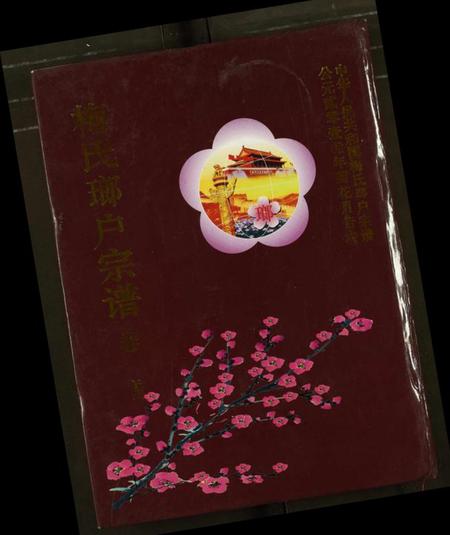 湖北梅氏族谱-梅氏琅户宗谱.pdf电子版