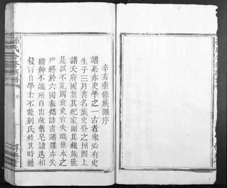 江西孙氏族谱-孙氏合修族谱[不分卷].pdf电子版插图5