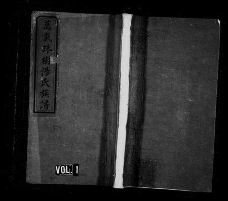 江西汤氏族谱-万载珠树汤氏族谱 [10卷,及卷首].pdf电子版插图1