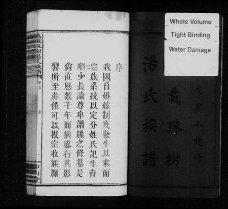 江西汤氏族谱-万载珠树汤氏族谱 [10卷,及卷首].pdf电子版插图3