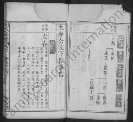 湖北闵氏族谱-闵氏宗谱 [残卷].pdf电子版插图2