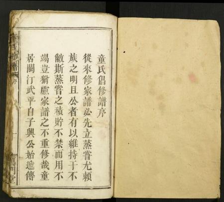 江西童氏族谱-童氏族谱.pdf电子版插图 江西童氏族谱-童氏族谱.pdf电子版插图