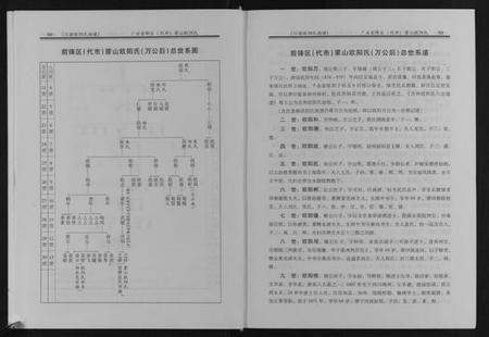 四川欧阳氏族谱-川渝欧阳氏族谱[2卷].pdf电子版插图2