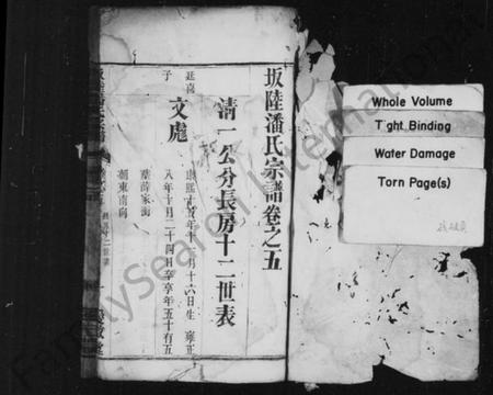 江苏潘氏族谱-坂陆潘氏宗谱 [残卷].pdf电子版插图1