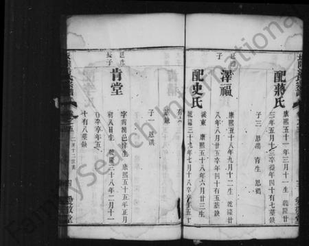 江苏潘氏族谱-坂陆潘氏宗谱 [残卷].pdf电子版插图4