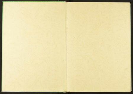 湖北潘氏族谱-潘氏家谱.pdf电子版插图2