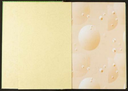 湖北潘氏族谱-潘氏家谱.pdf电子版插图3