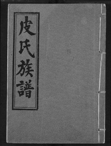 湖北皮氏族谱-皮氏族谱.pdf电子版插图 湖北皮氏族谱-皮氏族谱.pdf电子版插图