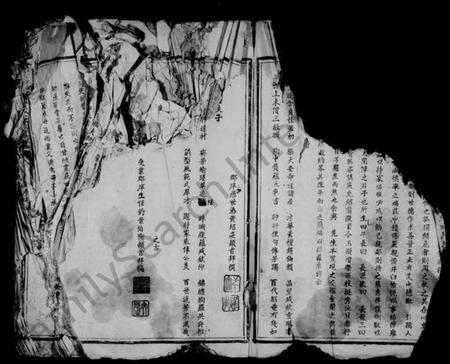 江西王氏族谱-太原堂王氏五修族谱.pdf电子版插图3