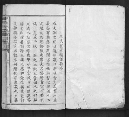 江西王氏族谱-王氏三槐重修族谱[不分卷].pdf电子版插图1