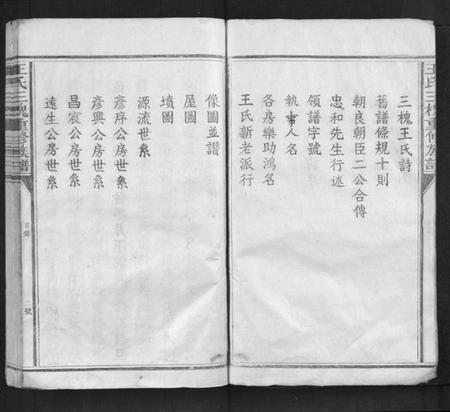 江西王氏族谱-王氏三槐重修族谱[不分卷].pdf电子版插图5