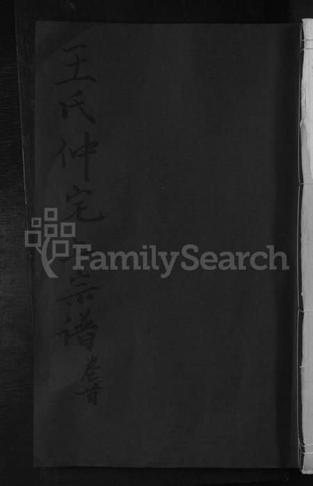 江西王氏族谱-王氏仲宅上宗谱 [残卷].pdf电子版