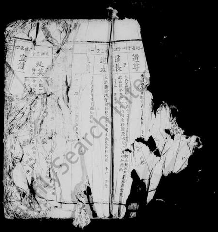 江西王氏族谱-王氏增修族谱 [残卷].pdf电子版插图4