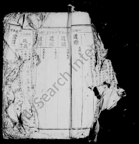 江西王氏族谱-王氏增修族谱 [残卷].pdf电子版插图5