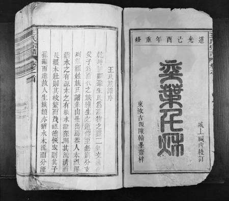 江西王氏族谱-王氏宗谱[不分卷].pdf电子版插图1