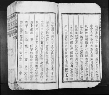 江西王氏族谱-王氏宗谱[不分卷].pdf电子版插图2