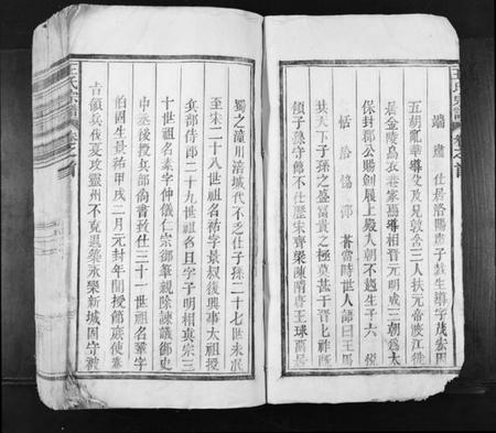 江西王氏族谱-王氏宗谱[不分卷].pdf电子版插图3