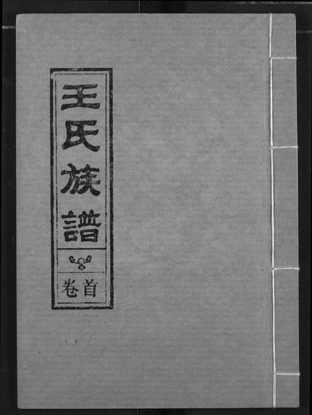 江西王氏族谱-王氏族谱.pdf电子版