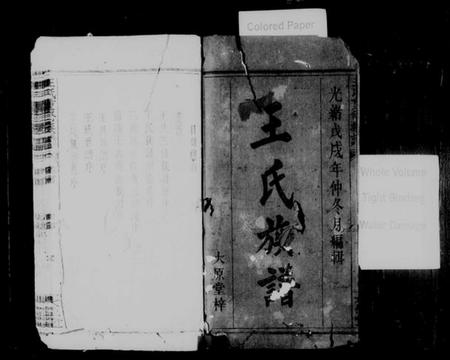 江西王氏族谱-王氏重修族谱 [7卷,含卷首].pdf电子版插图2