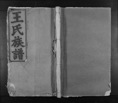 江西王氏族谱-王氏重修族谱[不分卷].pdf电子版