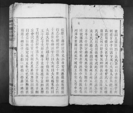 江西王氏族谱-王氏重修族谱[不分卷].pdf电子版插图2