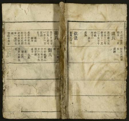 江西王氏族谱-琅琊王氏宗谱 [存经支卷].pdf电子版