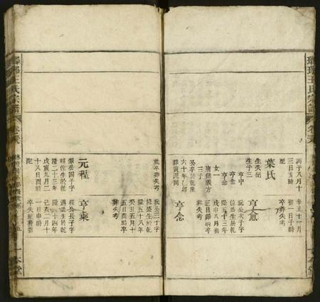 江西王氏族谱-琅琊王氏宗谱 [存经支卷].pdf电子版插图3